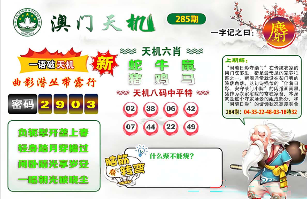 澳门天机参考图